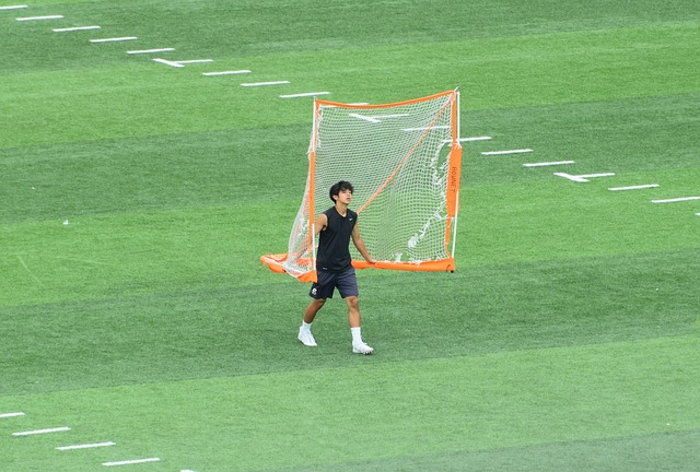此策略不仅