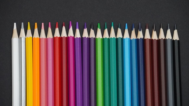 因为她从不 因为她从不