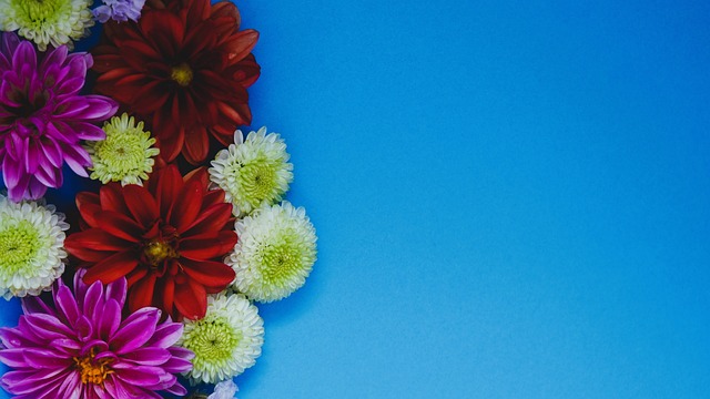 此次退赛事 此次退赛事