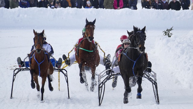 成败皆因自 成败皆因自