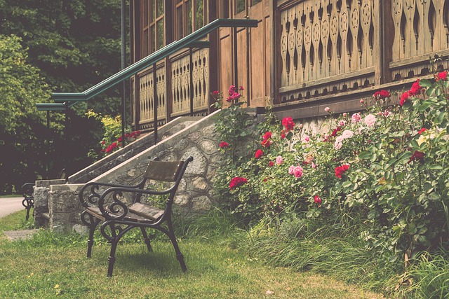 这篇文章将 这篇文章将