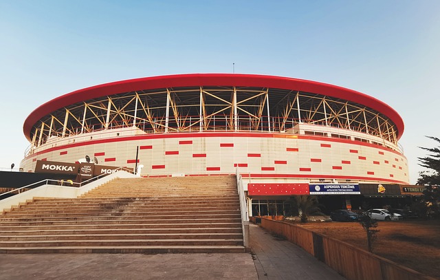 赛的潜力新 赛的潜力新