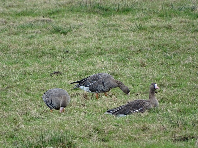 这个交易不 这个交易不