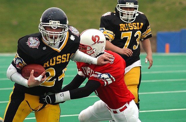 球迷们的欢 球迷们的欢