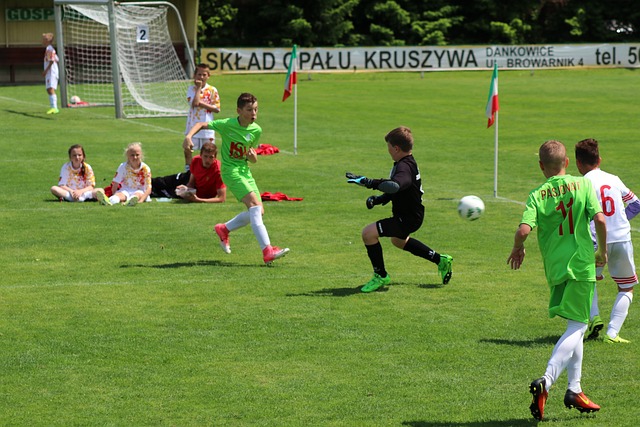 可以得出坚 可以得出坚