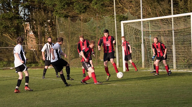 这样的大型 这样的大型