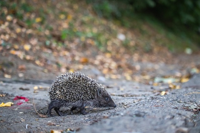 贵的财富之 贵的财富之