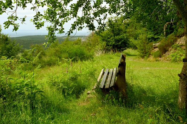 以及巴塞罗 以及巴塞罗